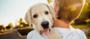 predere un cucciolo