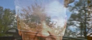 David lynch 254618