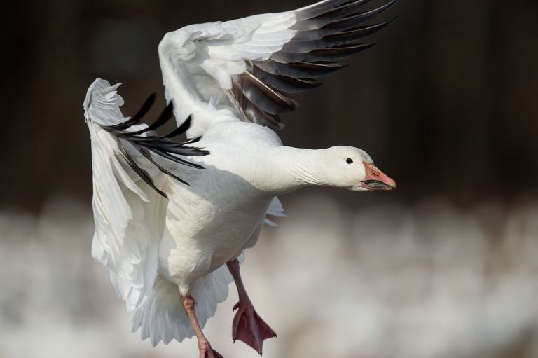 Ray hennessy ZvMYYmjpJfg unsplash