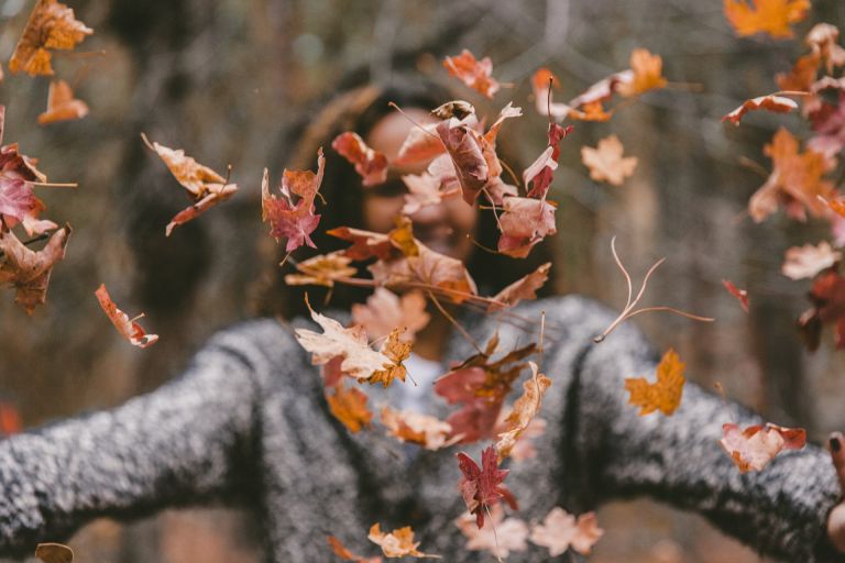 Come iniziare a rivalutare l'autunno