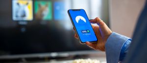 VPN gratuita: il segreto più sicuro per esplorare un'ampia gamma di arte e cultura online
