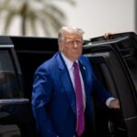 Decisione Trump, metalli rari