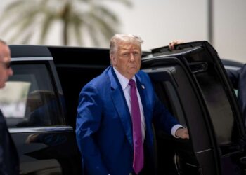 Decisione Trump, metalli rari