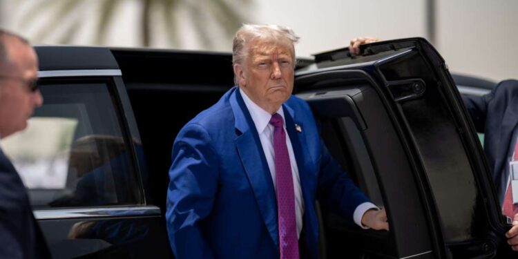 Decisione Trump, metalli rari