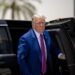 Decisione Trump, metalli rari