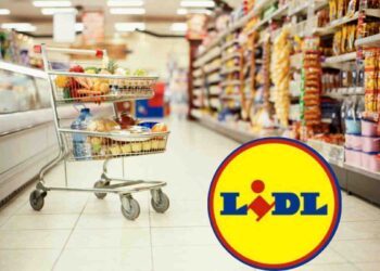 Lidl Supermercato