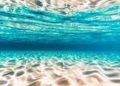 Scoperta sotto il mare