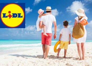 lidl offerte vacanze