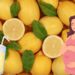 Miti e verità sul limone in gravidanza
