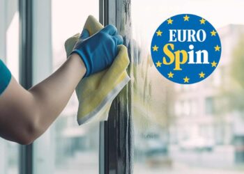 Eurospin offerta accessorio pulizie