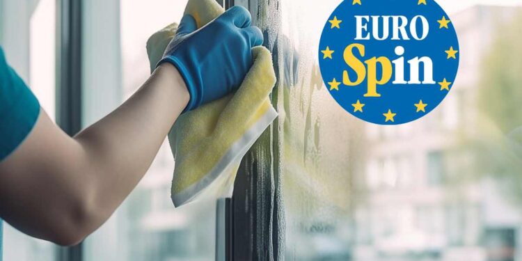 Eurospin offerta accessorio pulizie