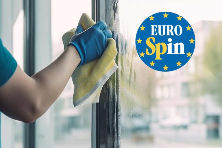 Eurospin offerta accessorio pulizie