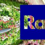 Sanremo, la decisione della Rai
