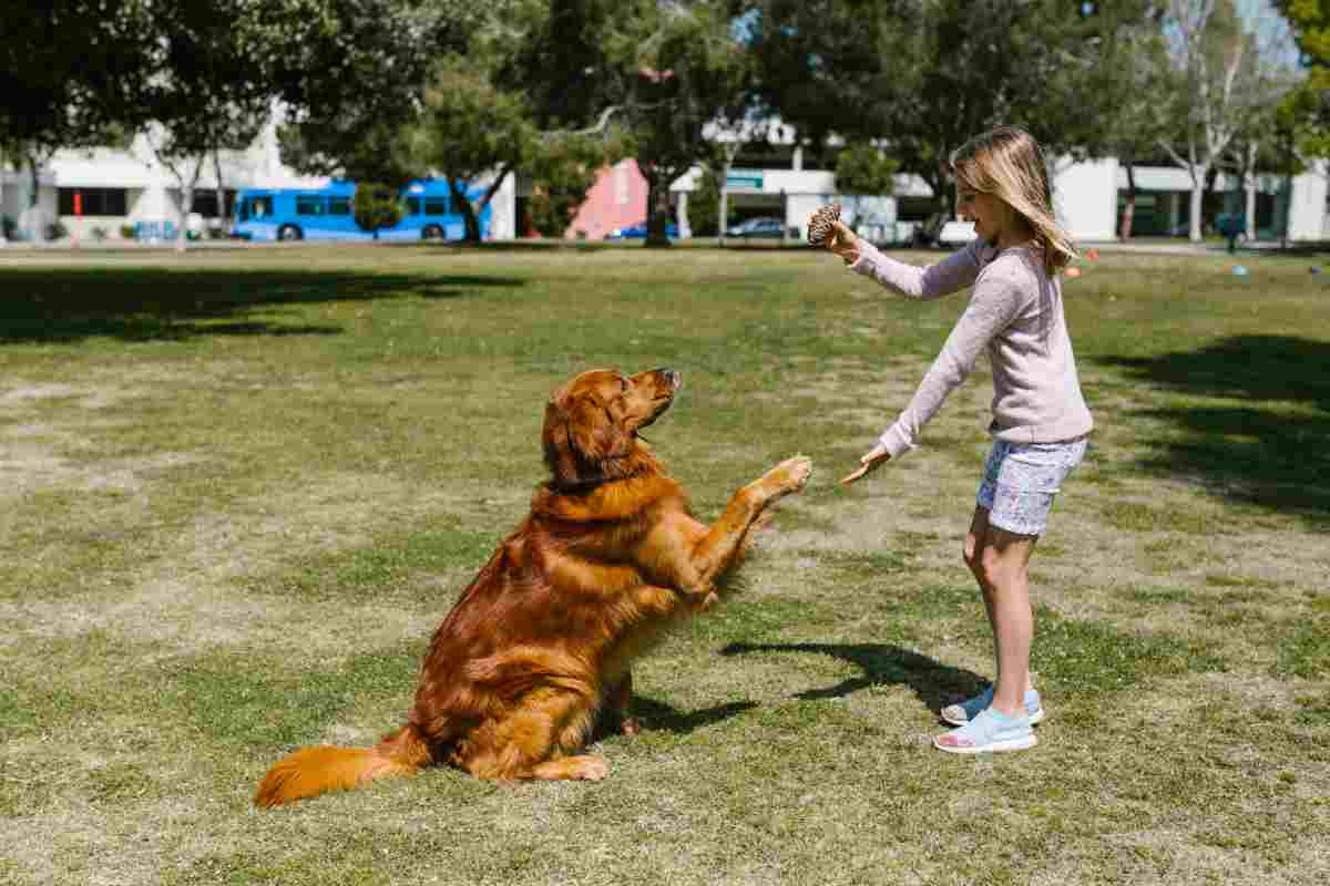 Bimba va in canile per adottare un cagnolino