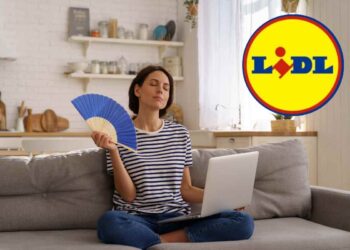 Lidl casa