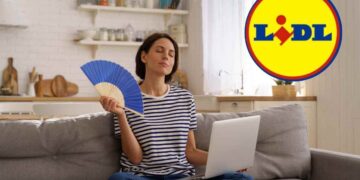 Lidl casa