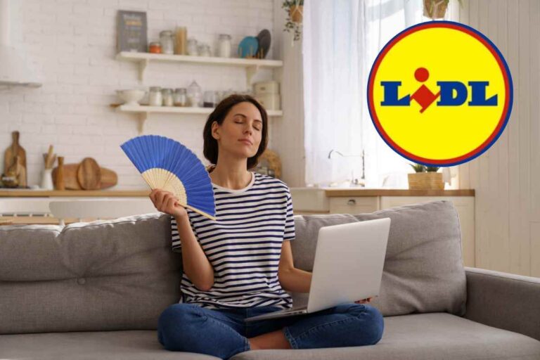 Lidl casa