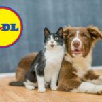 Coccola il tuo amico a 4 zampe con le super offerte Lidl