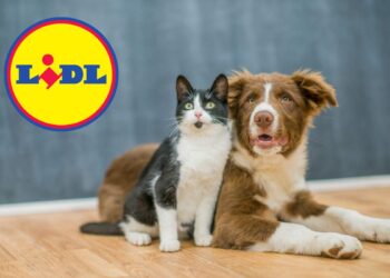 Coccola il tuo amico a 4 zampe con le super offerte Lidl