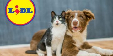 Coccola il tuo amico a 4 zampe con le super offerte Lidl