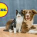 Coccola il tuo amico a 4 zampe con le super offerte Lidl