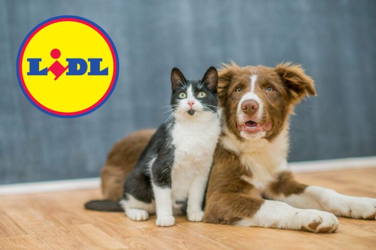 Coccola il tuo amico a 4 zampe con le super offerte Lidl
