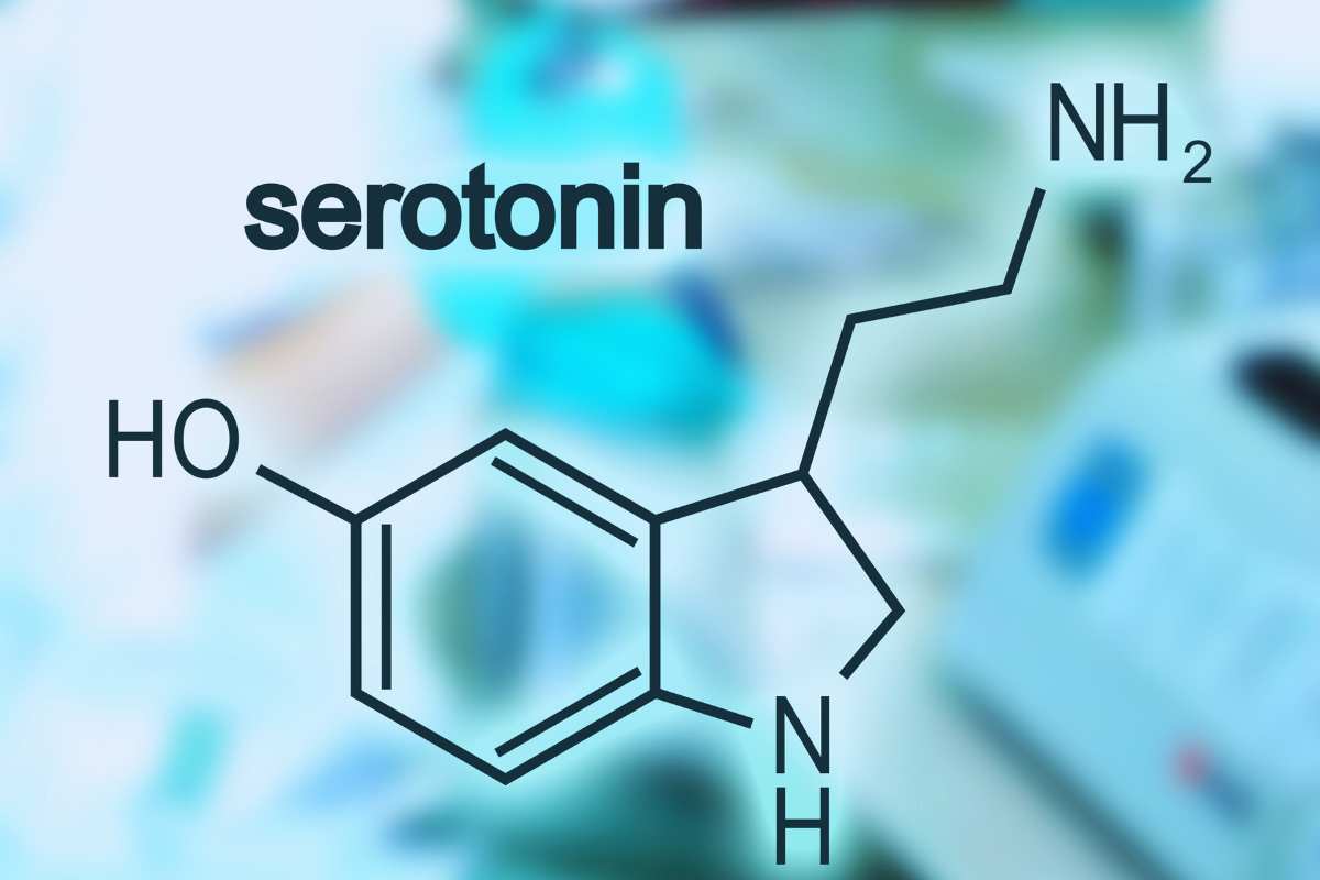 Aliemntazione e produzione di serotonina