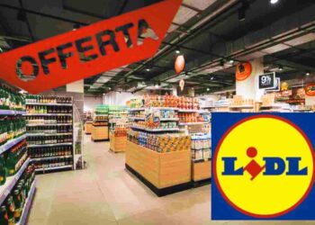 offerte da lidl