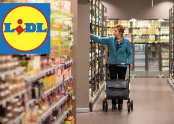 offerte lidl