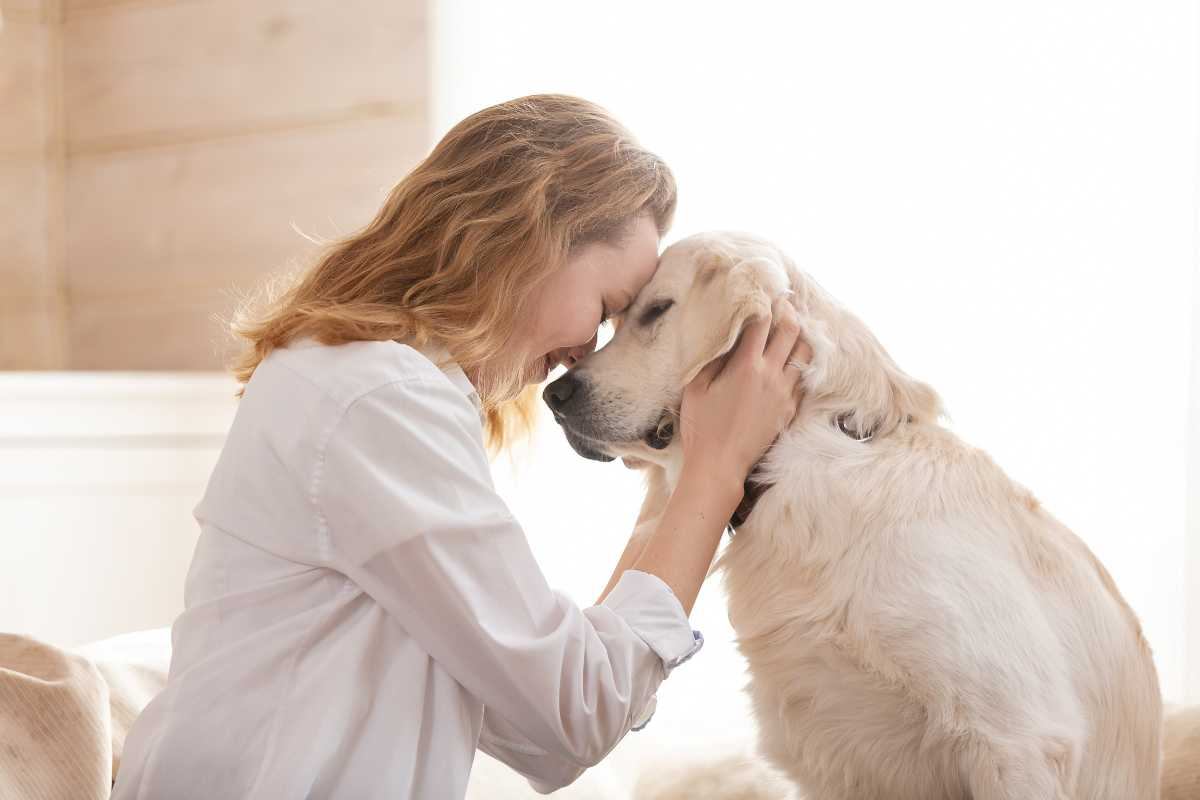 Bonus animali domestici