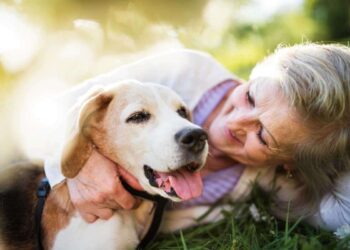 Bonus animali domestici