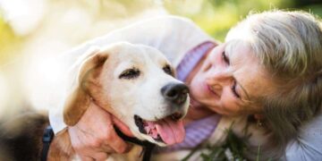 Bonus animali domestici