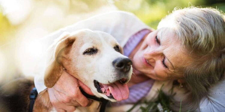 Bonus animali domestici