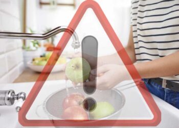 La frutta costa tantissimo; cosa fare per risparmiare