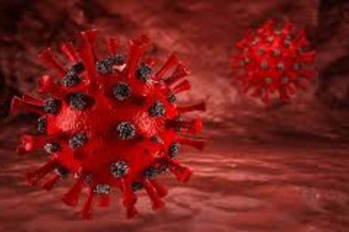L'allarme dell'Oms: nuova epidemia