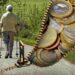 Pensioni aumento