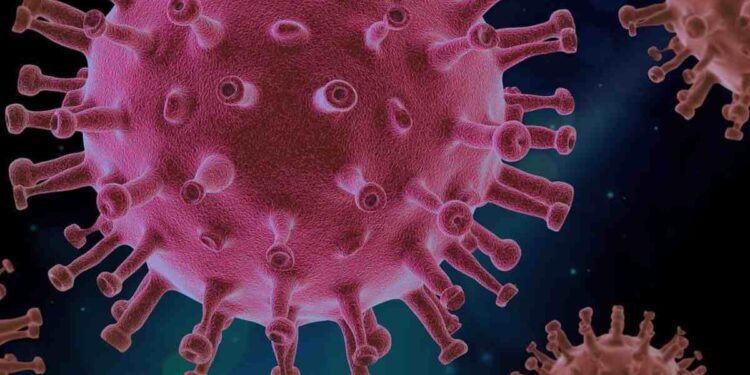 Nuovo virus allarme