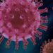 Nuovo virus allarme