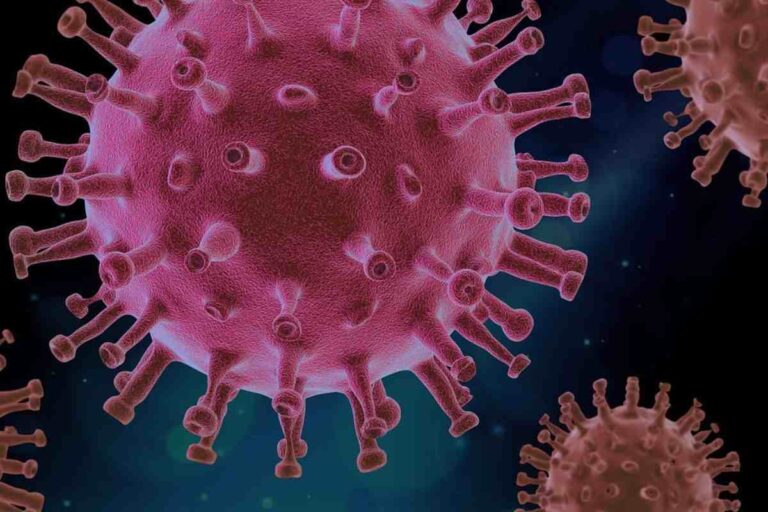 Nuovo virus allarme