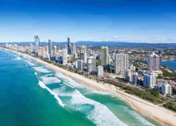 Vitto e alloggio gratis in Australia se ti prendi cura dei canguri