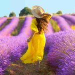 campo di lavanda italia