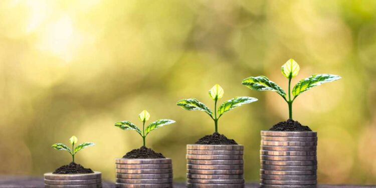 Pensioni basse, corri al Caf a richiedere tutti gli aiuti che ti spettano