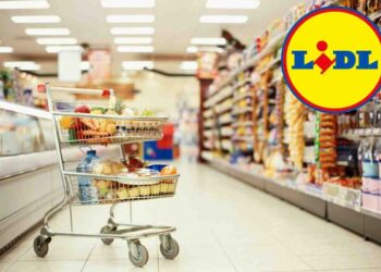 Strumenti da veri tuttofare, Lidl lancia le nuove promo