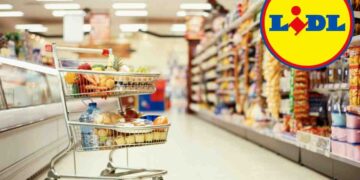 Strumenti da veri tuttofare, Lidl lancia le nuove promo