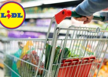 Che promo assurda, LIDL ti regala un sogno e tu rischi di perdertelo