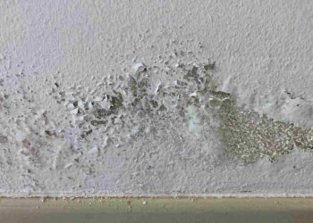 Con nemmeno 1 euro dici addio all'umidità in casa