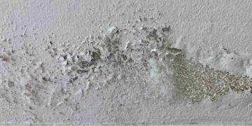 Con nemmeno 1 euro dici addio all'umidità in casa