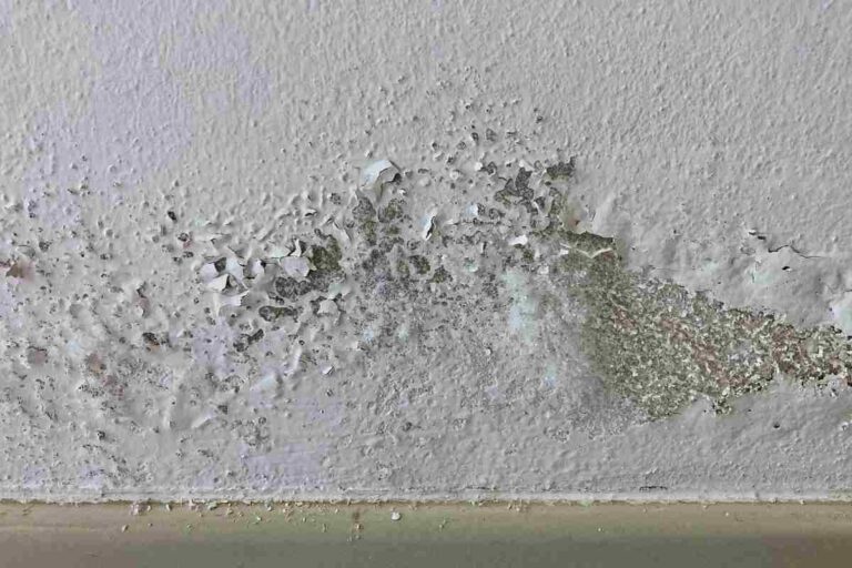 Con nemmeno 1 euro dici addio all'umidità in casa