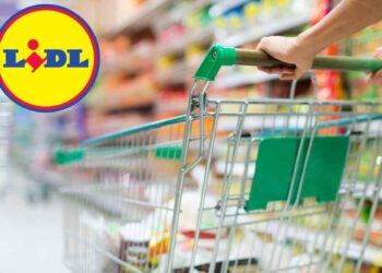Lidl, per evitare sprechi e risparmiare davvero