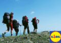 vacanze lidl